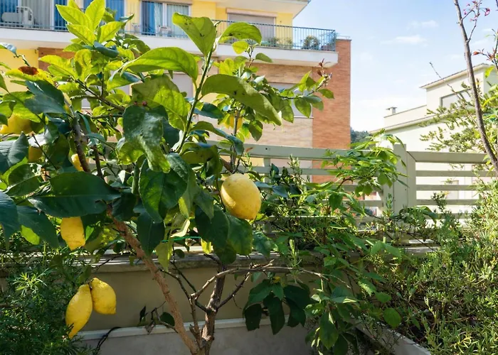 Elegantis Terrazze Al Vaticano - Your Chic Retreat In Апартаменты *
